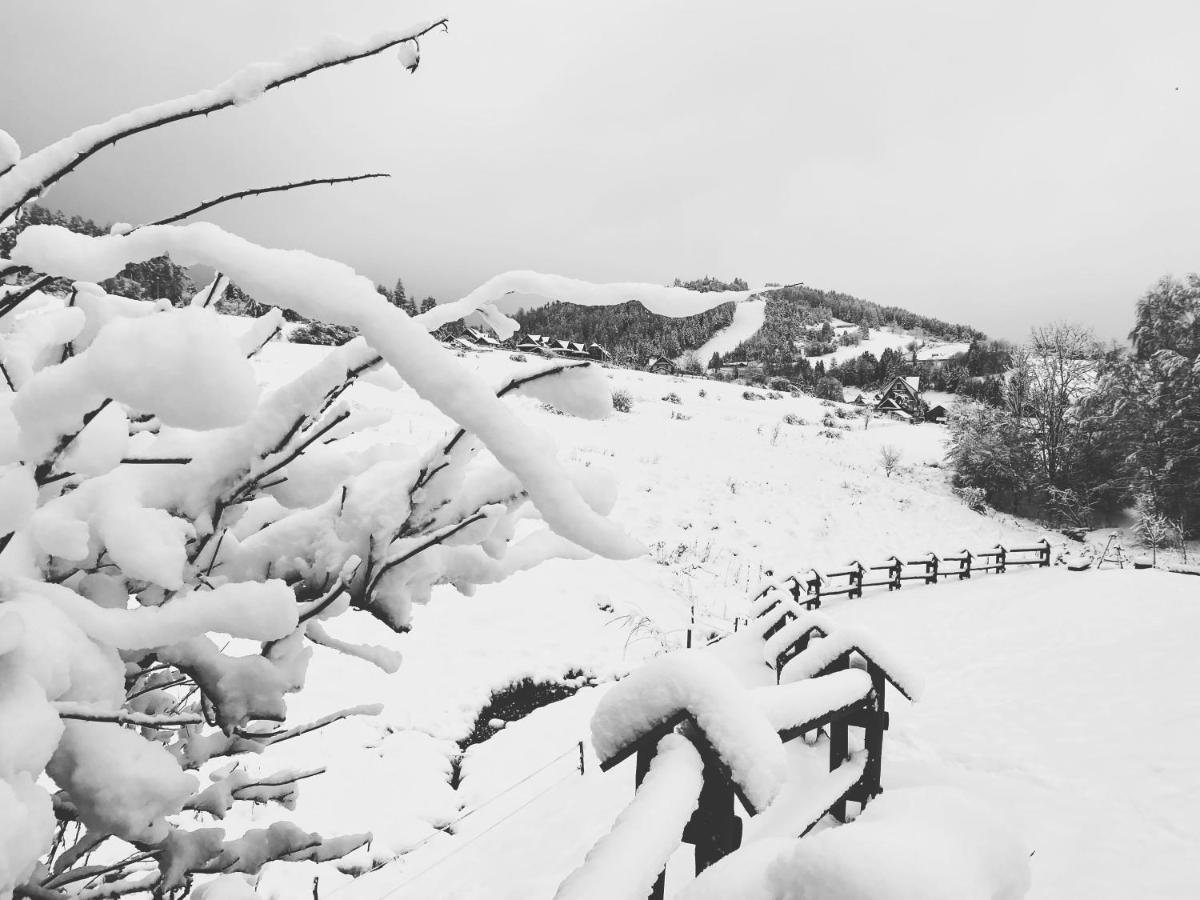 Chalet Osada Snozka
